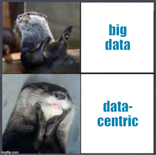 big data vs data-centric